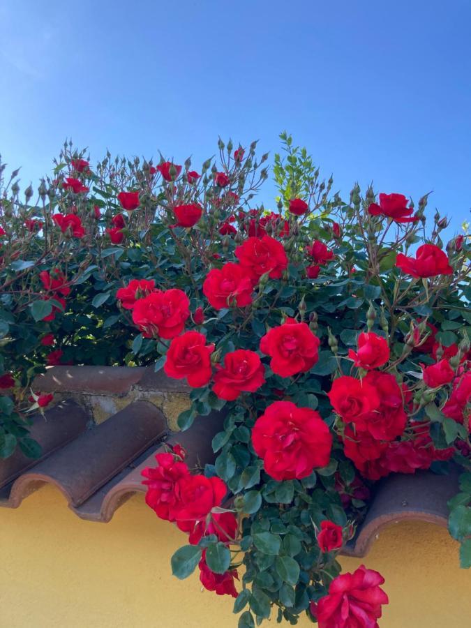 La Rosa Del Lago Bracciano  Ngoại thất bức ảnh