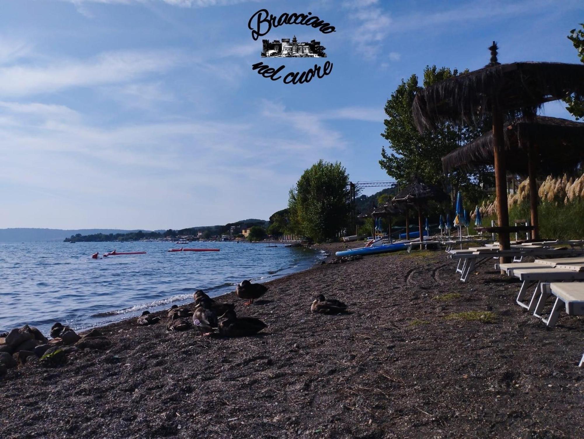 La Rosa Del Lago Bracciano  Ngoại thất bức ảnh