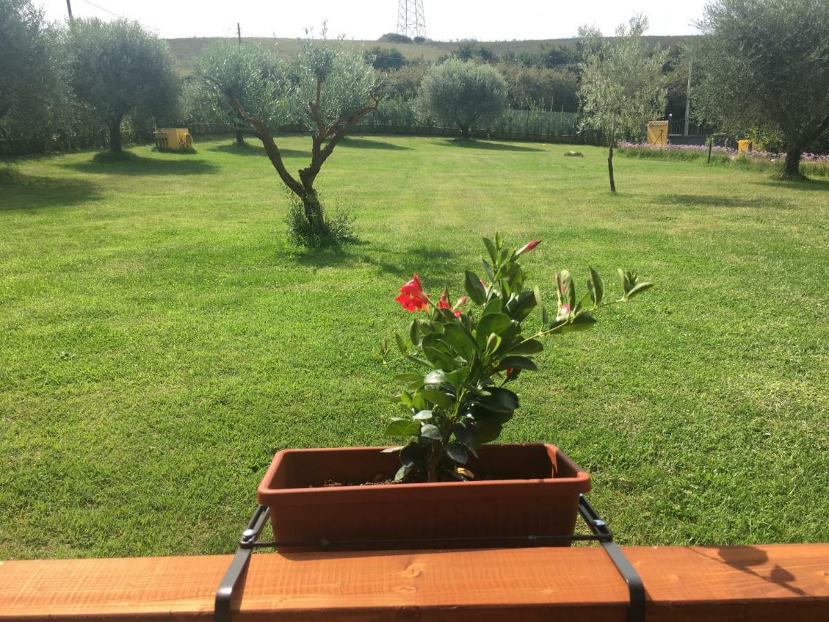 La Rosa Del Lago Bracciano  Ngoại thất bức ảnh