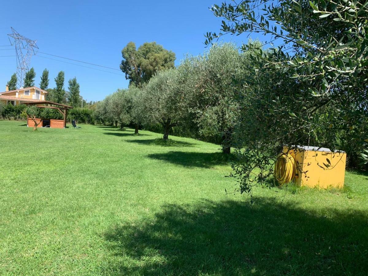 La Rosa Del Lago Bracciano  Ngoại thất bức ảnh